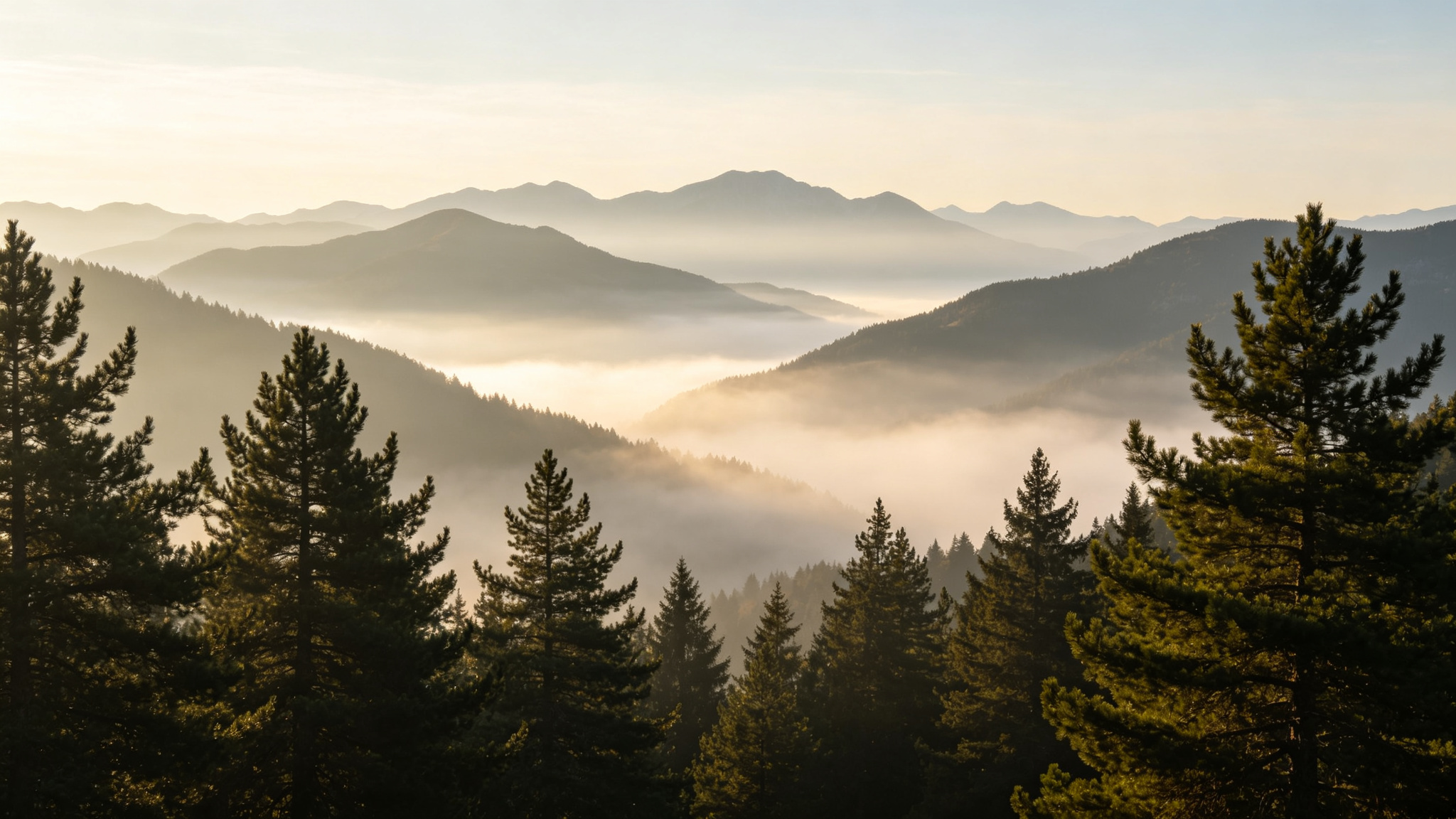 Misty mountain landscape generated from text prompt