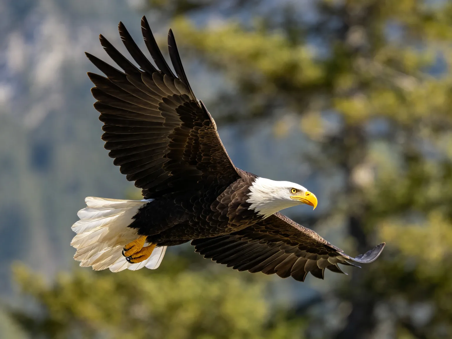 Enhanced wildlife photography